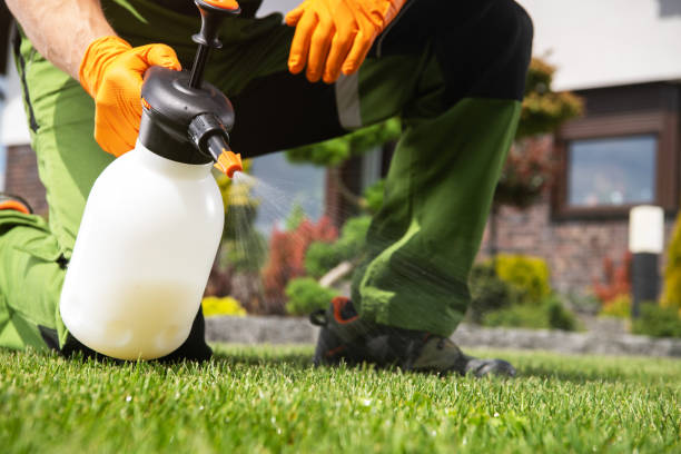 Best Local Pest Control Services  in Cecilia, LA
