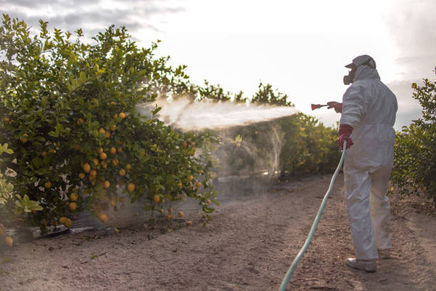 Best Commercial Pest Control Services  in Cecilia, LA