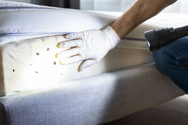 Best Cockroach Control Services  in Cecilia, LA
