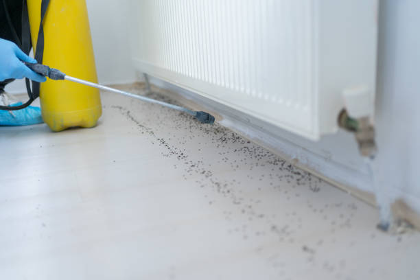 Best Exterminator Services  in Cecilia, LA